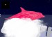 screenshot_09182012_200946960